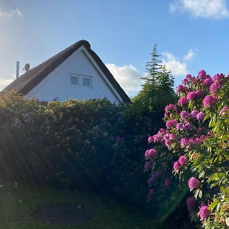 Ferienhaus Butterblume Südbrookmerland Exteriér fotografie